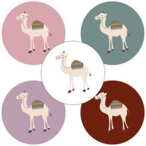 Kado Stickers | Camel - 5 kleuren (10 stuks)