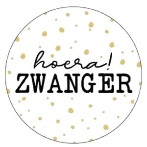Kado Stickers | Hoera Zwanger (10 stuks)