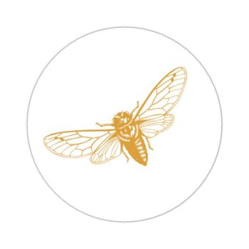 Kado Stickers | Vlinder wit met Goldfoil (10x)