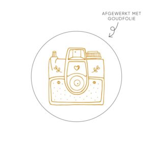 Kado Stickers | Camera - Goud Wit  (10x)
