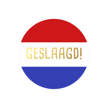 Kado Stickers | Geslaagd - Rood wit blauw (10x)