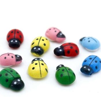 Kado Decoratie | Ladybugs mix hout (10stuks)