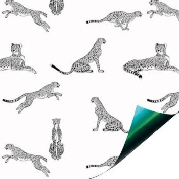 Kadopapier | Jaguar Green (50cmx2m)