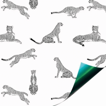 Kadopapier | Jaguar Green (50cmx2m)