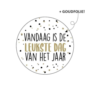 Kado Stickers | Vandaag is leukste dag jaar (10x)