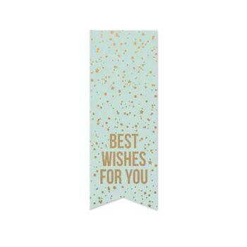 Kado Stickers | Vaantje Best Wishes Mint (10x)