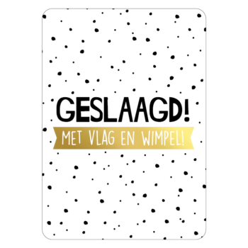 Ansichtkaartje | Geslaagd met vlag en wimpel