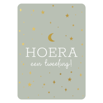 Ansichtkaartje | Hoera een tweeling - goldfoil