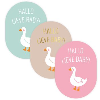 Kado Stickers | Hallo Lieve Baby Goose (12 stuks)