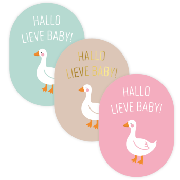 Kado Stickers | Hallo Lieve Baby Goose (12 stuks)