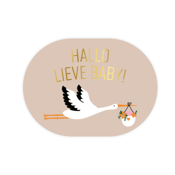 Kado Stickers | Hallo Lieve Baby Ooievaar (10 stuks)
