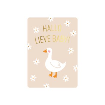 Cadeaukaartje | A7 - Hello Little baby - Goose