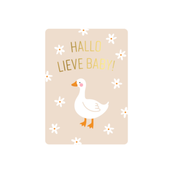 Cadeaukaartje | A7 - Hello Little baby - Goose