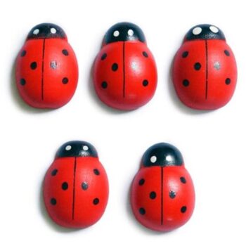 Kado Deco | Ladybug Large Hout (5stuks)