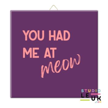 Tegeltje - You had me Meow