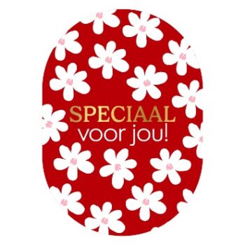 Ansichtkaartje | Speciaal voor jou Rood - Ovaal