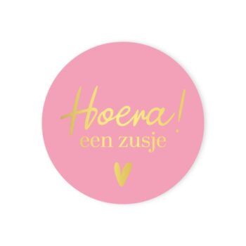 Studioleuk zusjerozegold