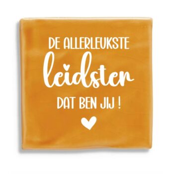 Tegeltje - De allerleukste leidster, ben jij