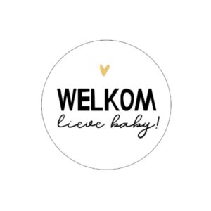 Kado Stickers | Welkom lieve Baby (10 stuks)