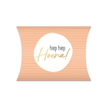 Gondeldoosje | Hiep Hiep Hoera Zalm (S)