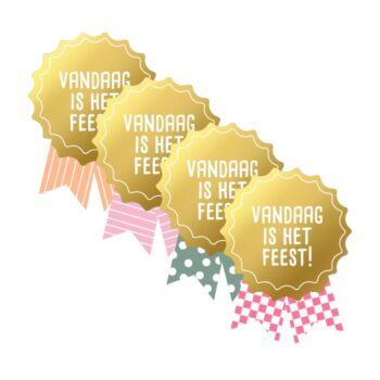Kado Stickers | Vandaag is het feest (12 stuks)
