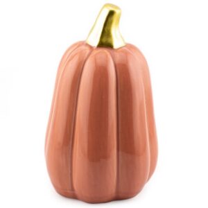 Pompoen van Keramiek - Oud Roze (L)